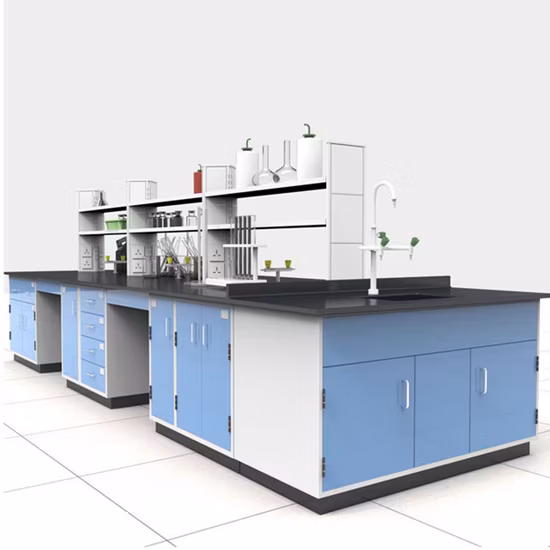 Kommerzielle Schullabormöbel und kommerzieller Labortisch Insellaborbank mit Schränken